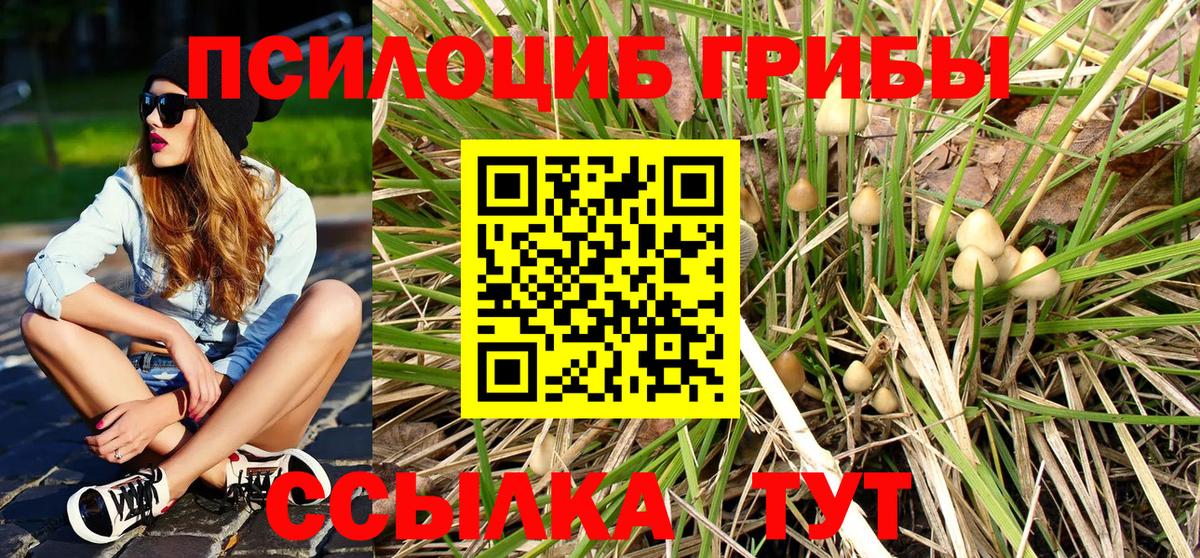 Псилоцибиновые грибы ЛСД Туймазы