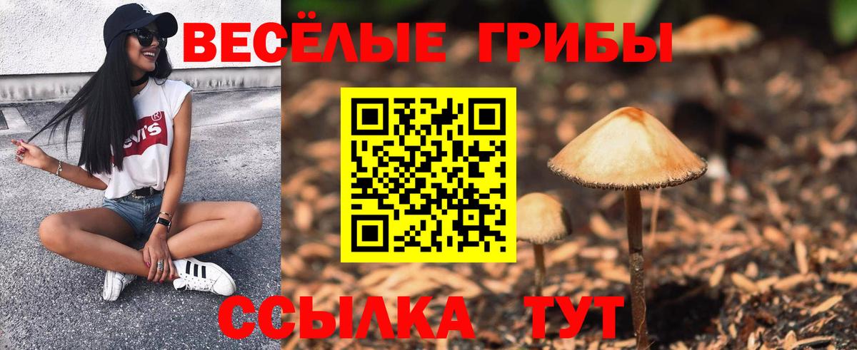 Галлюциногенные грибы Psilocybine cubensis  Псилоцибиновые грибы прущие грибы  купить   Вход с VPN  Туймазы 
